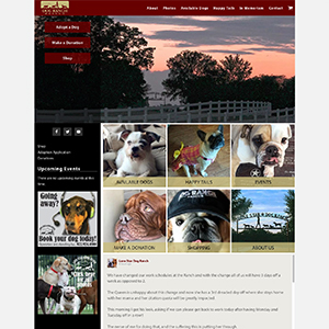 Dog Ranch Rescue