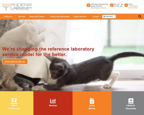 Phoenix Lab